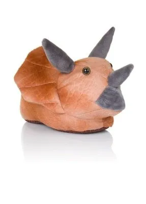 Bruine Dino Sloffen Kids